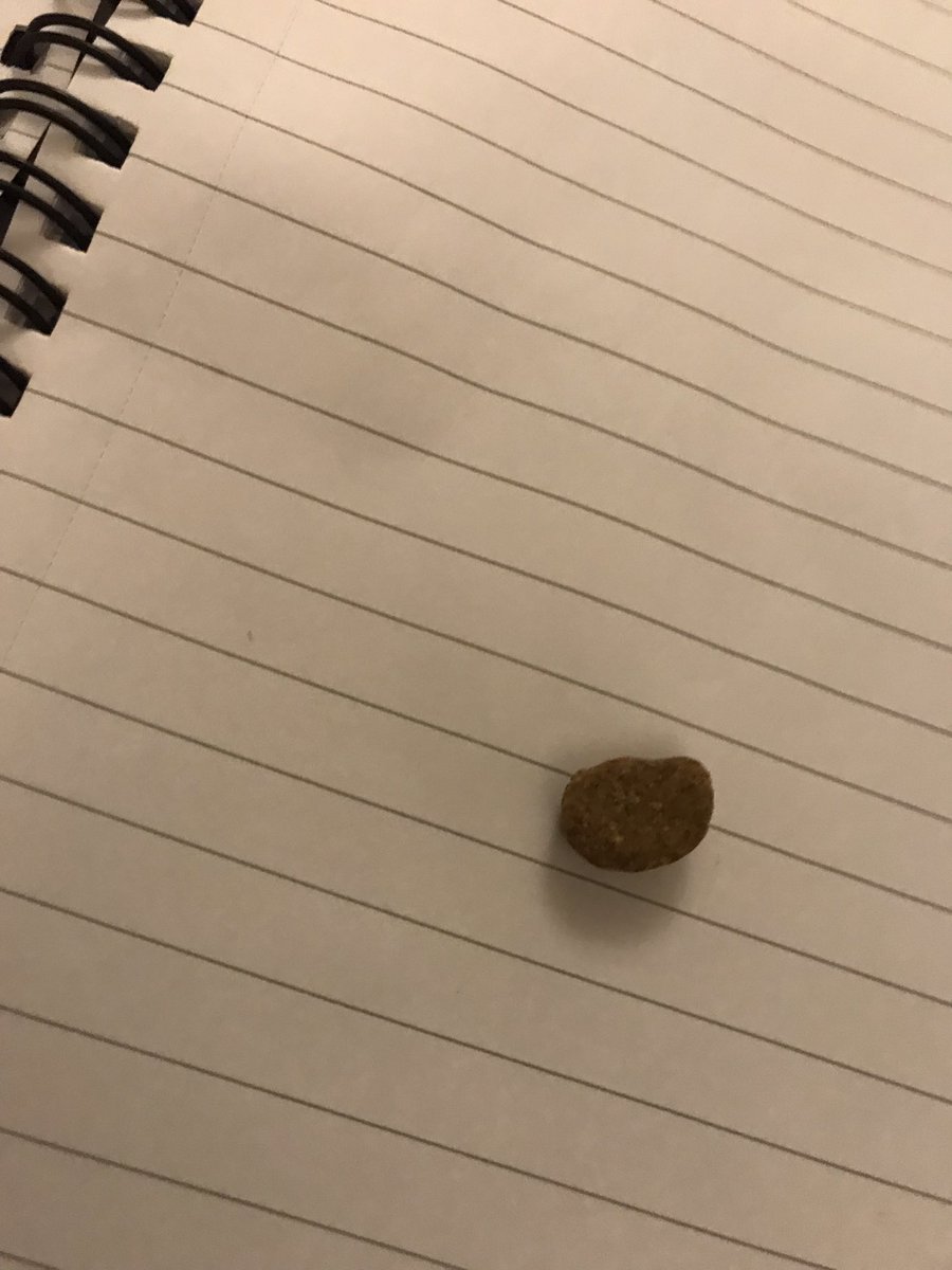 I’ve eaten cat food again. Why am I such a idiot. Only one