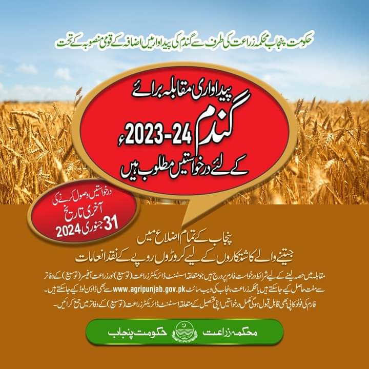 agri_department's tweet photo. #ہمارا_عزم_گندم_درآمد_نہیں_برآمد_کرنی_ہے
#wheat #WheatYield #competition #Punjab #agriculture #farmer
@GovtofPunjabPK @SMUReforms @AgriInfoMultan @AgricultureSou1 @CCRI_Multan https://t.co/buQWVPd0mI