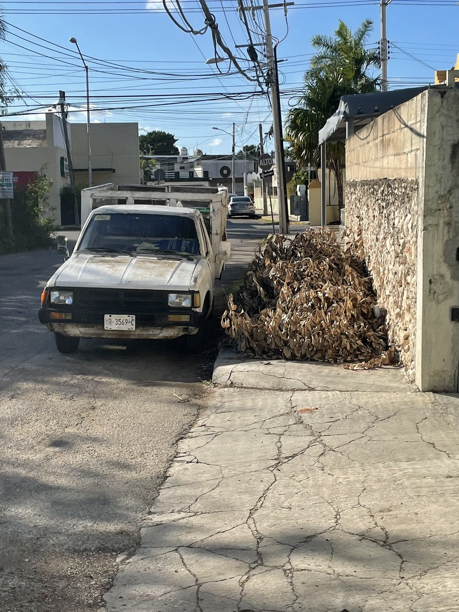 Rodri25's tweet image. Alguna forma de que alguien quite eso? @AyuntaMerida @PoderAG_Merida