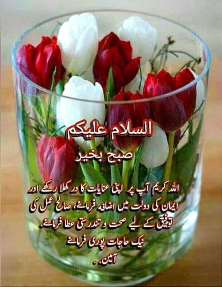 Malik Farook (@malikfaroo41892) on Twitter photo 