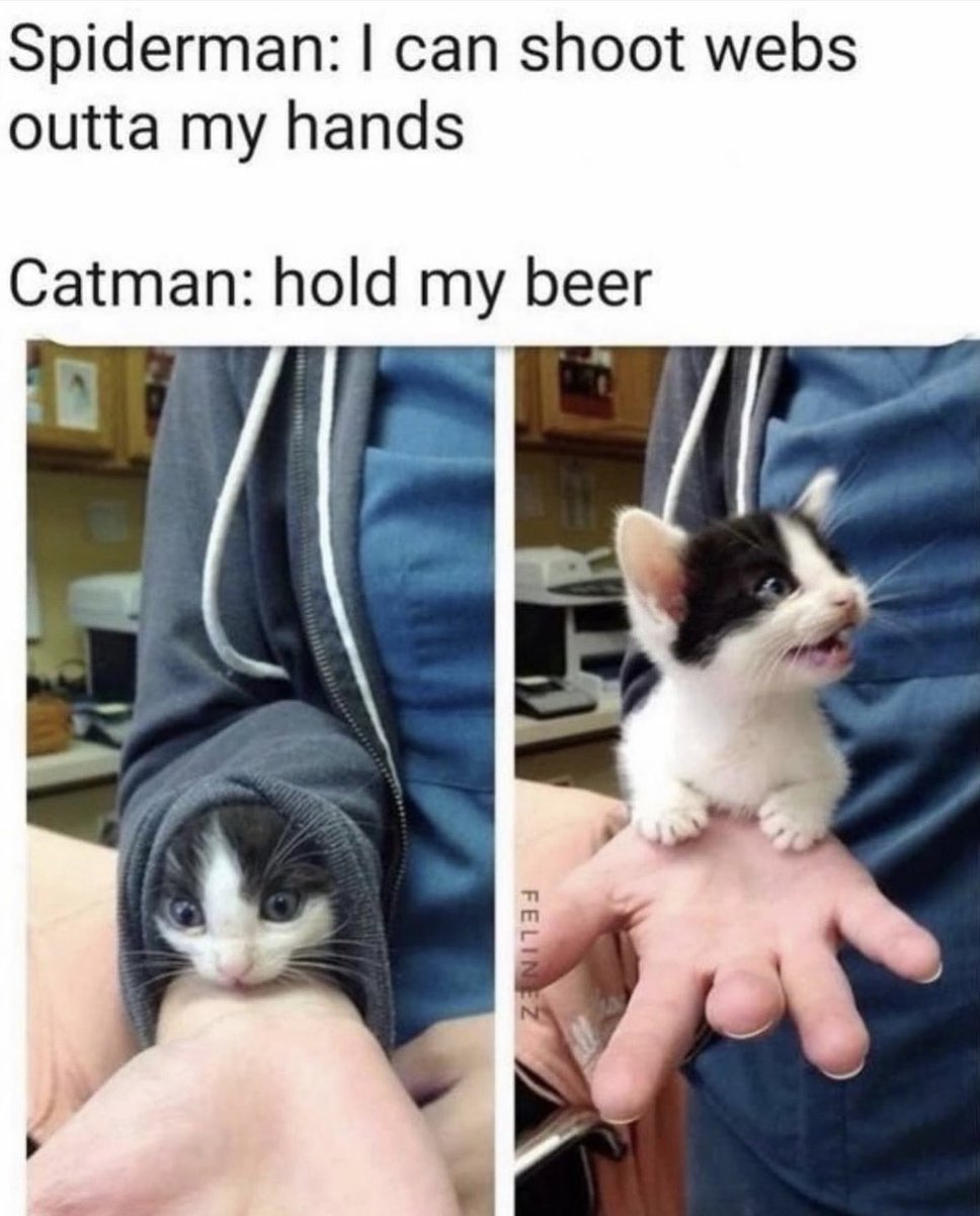 dcd728's tweet photo. #Spiderman ainโt got nothing on #Catman #kittypower #FridayFun https://t.co/qHXkTS09vt