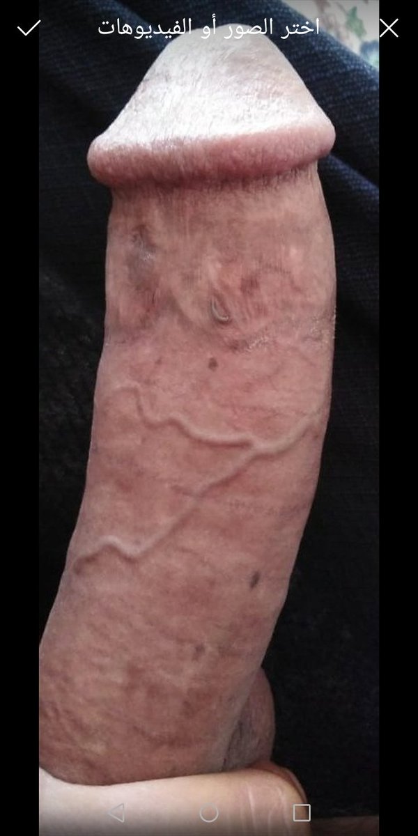 صباح الخير من تشتي تكمل الخميس