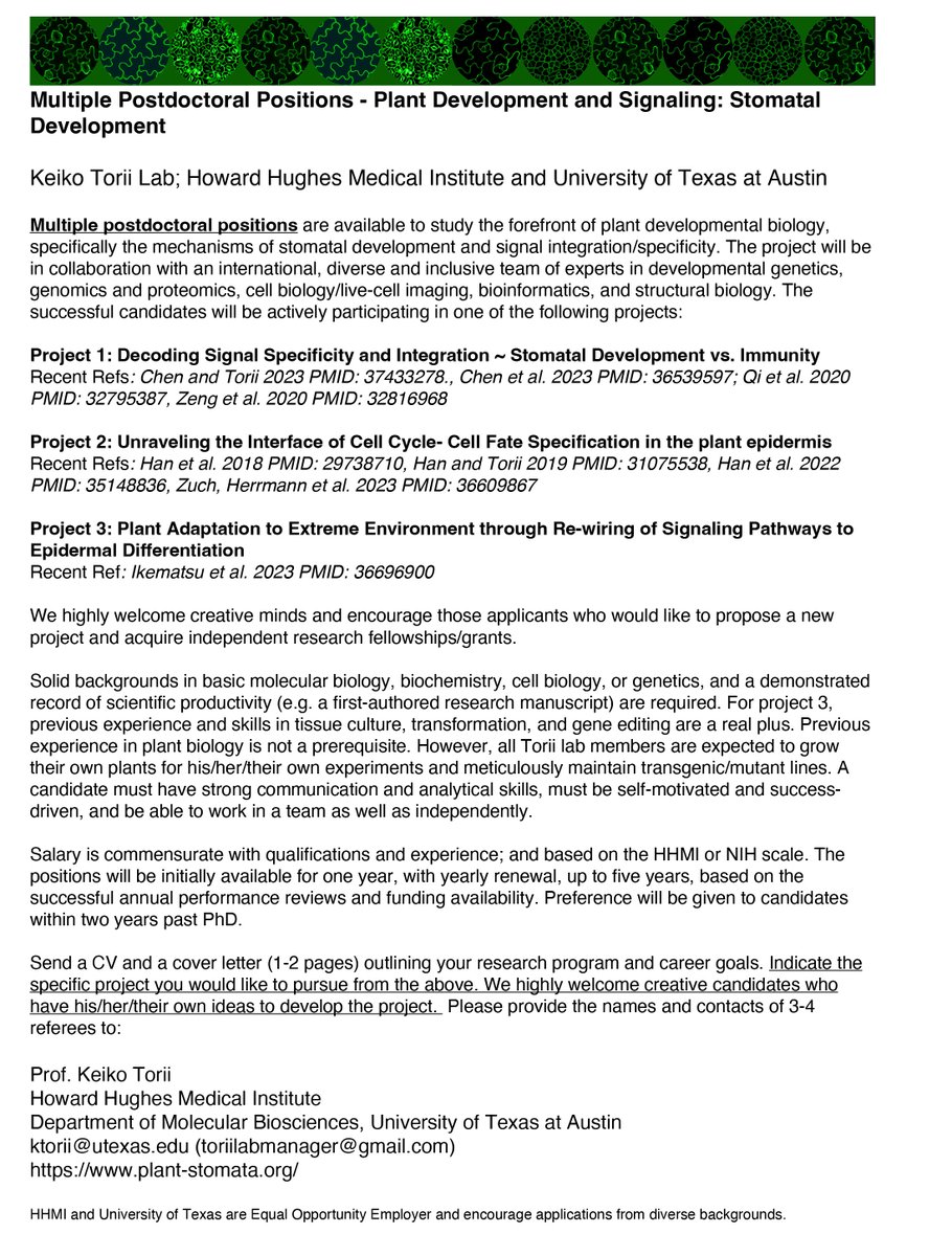 We are looking for postdocs (and techs). Join the team🌱🧬⚗️🥰 ! Multiple Postdoctoral Positions - Plant Development and Signaling: Stomatal Development.
plant-stomata.org/_files/ugd/c8f…