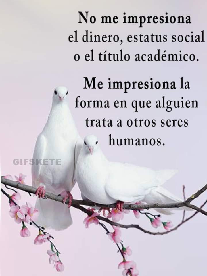 Ana María (@anamont46) on Twitter photo 