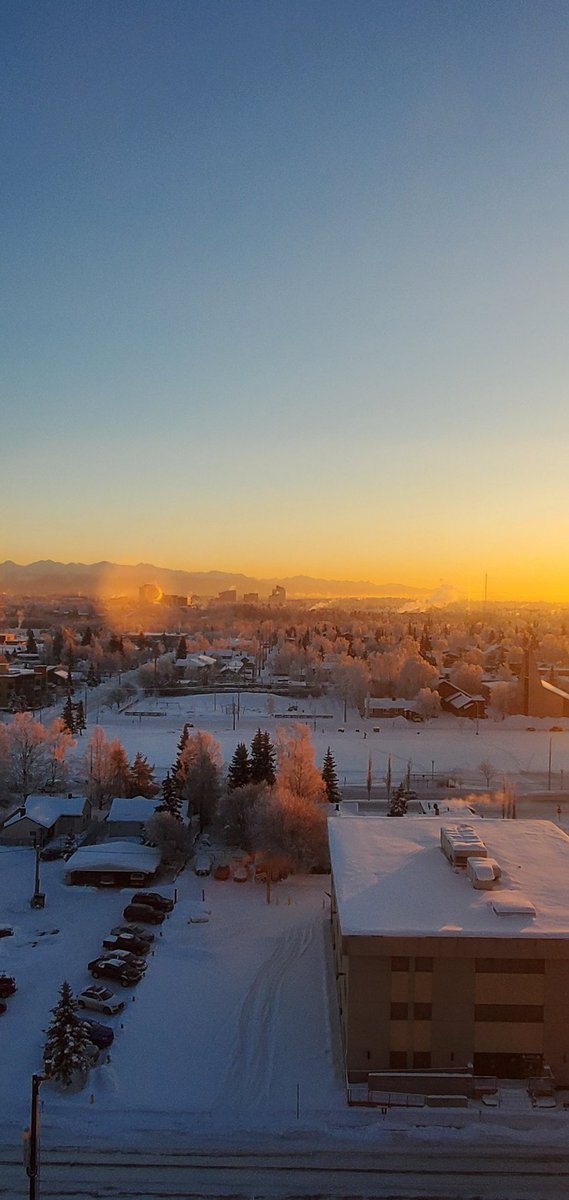 _ArcticKnight_'s tweet photo. 3pm Dec 28, 2023. Anchorage Alaska.   0°F.  Nearly sunset. 

Gotta love these cold sunny days with hoarfrost on the trees. https://t.co/IDxPHoq6q0