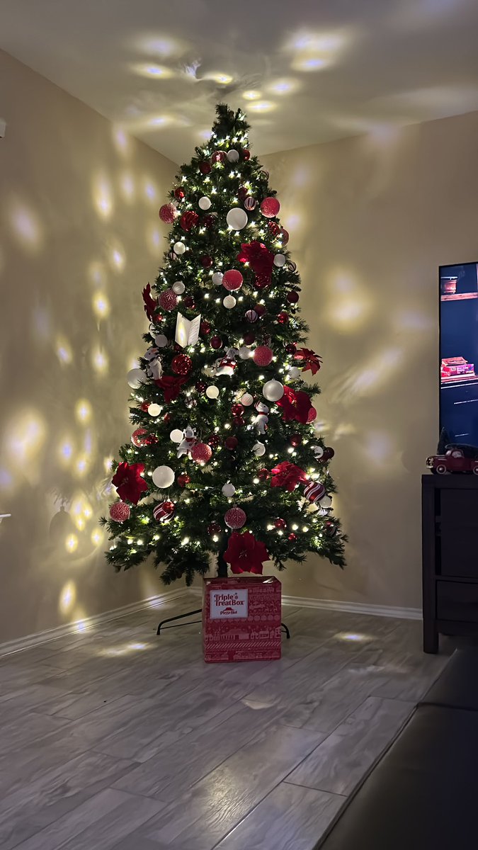 DerkLan's tweet photo. Bro decided to keep it under the tree @pizzahut https://t.co/YBMom7bDz6
