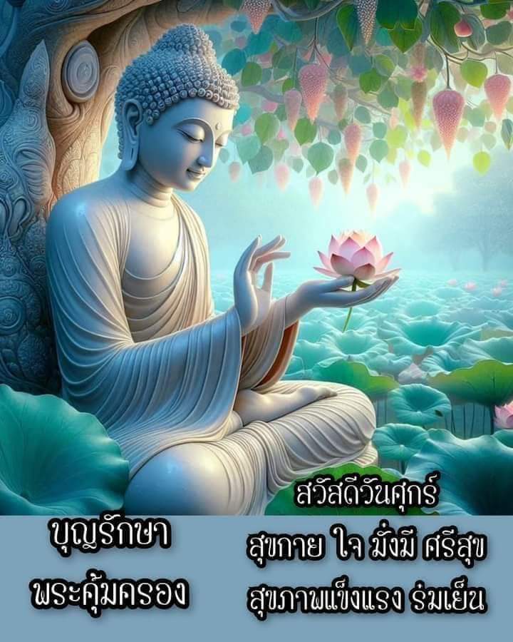 Yingnuij_zaza's tweet image. ตื่นมาเช้านี้🌅🏞️
ตักบาตรยามเช้ากับหลวงตา 🙏🙏🙏
☆ศุกร์นี้☆🩵💙
　┏┓┏┓｡･ﾟﾟ･｡｡ﾟ☆
　┃Ａｐｐｙ Friday
　┃┏┓┃♡･*:..｡♡*ﾟ
　┗┛┗┛
♡🩵💙..
#ท ำ อ ะ ไ ร อ ยู่ อ ะ ไ ร อ ยู่ ที่ ไ ห น ข อ ใ ห้ มี ค ว า ม สุ ข ค่ะ
.....  .....  .....  .....  .....  ......