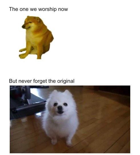 BorkSOL's tweet photo. Never forget who the OG’s are

 $BORK $BORK $BORK $BORK https://t.co/4mv7adLWo1