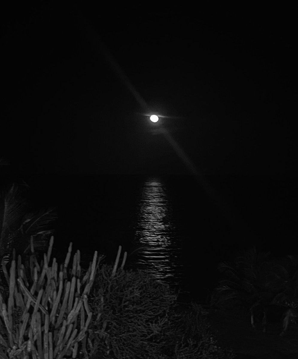 pilarmsris's tweet photo. Oh Luz de Luna,  semejante a la plata, todo lo abarcas de tu azulina blancura! https://t.co/RJ8M39LNS1