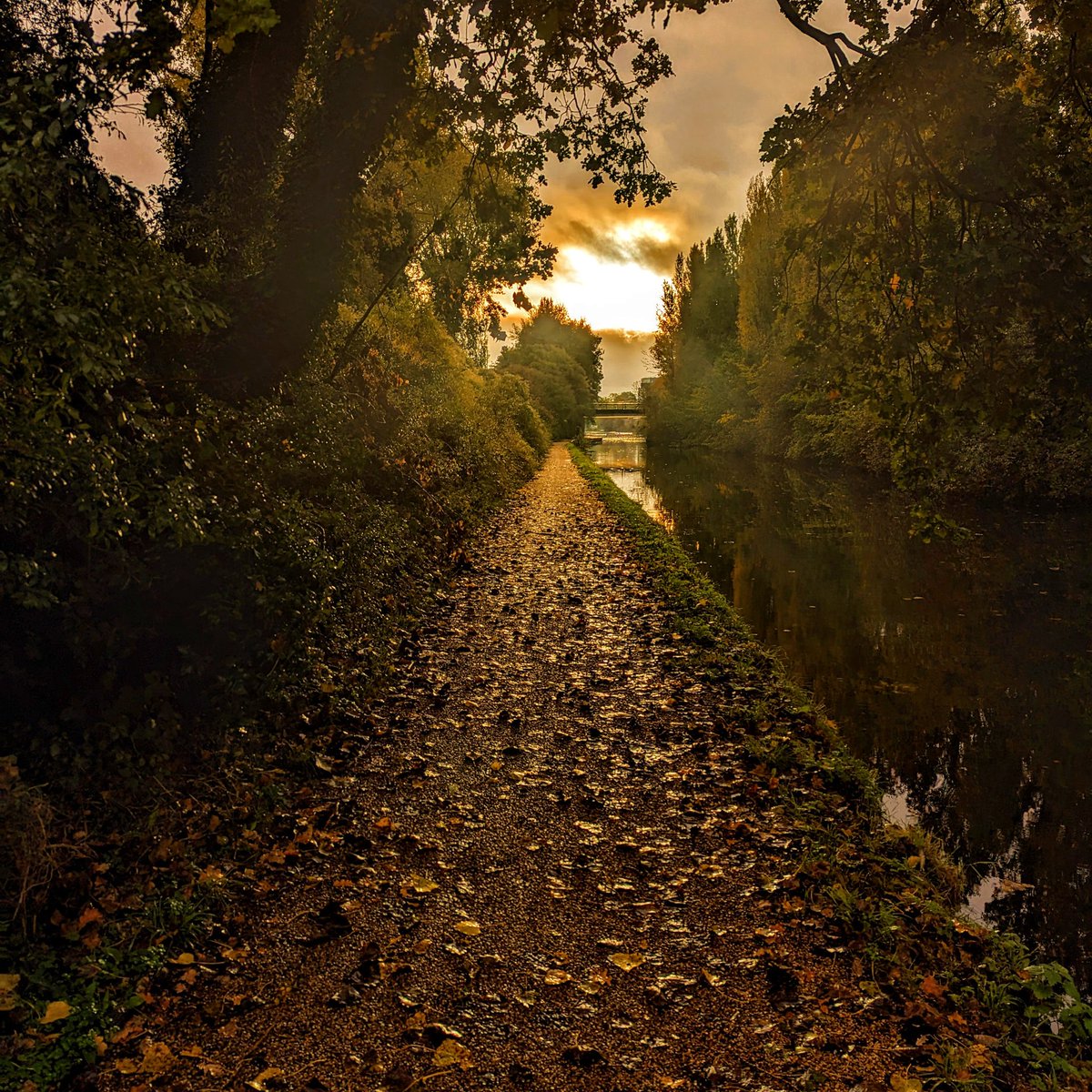 Yellowwatch's tweet photo. "It's only after we've lost everything that we're free to do anything." - Tyler Durden

#shotongooglepixel #pixel7pro #nature #naturephotography #canal #autumn #wildlife https://t.co/yahumIWU2R