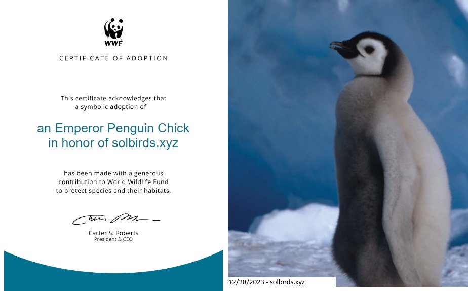 🐧 Thanks to the surge of new minters on solbirds.xyz, we've adopted another friend today! Your minting support is making a difference. Join us at solbirds.xyz! 🪺

 #SolBirds #AdoptAFriend #HeavensTools #SolanaNFTs