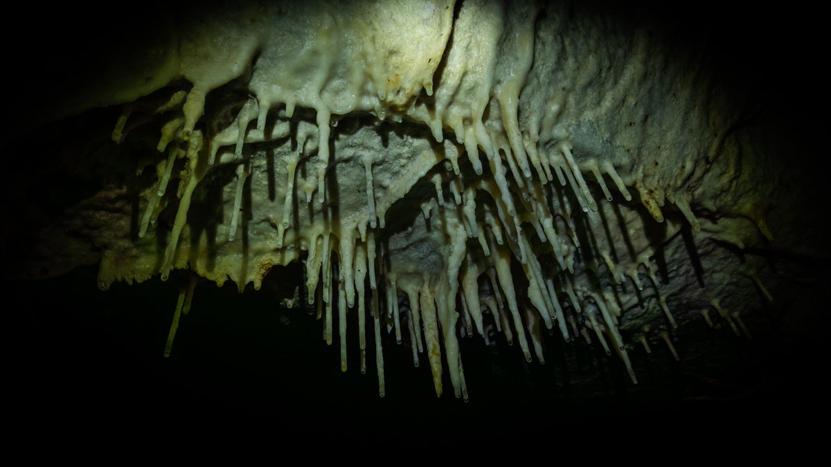 sgcol's tweet photo. También están los espeleotemas: formaciones rocosas, como las estalactitas y las estalagmitas, que, gracias a  procesos de interacción milenarios entre el agua, el oxígeno y ciertos minerales, han registrado las variaciones climáticas de los últimos miles de años. https://t.co/nVFEfBnPJU