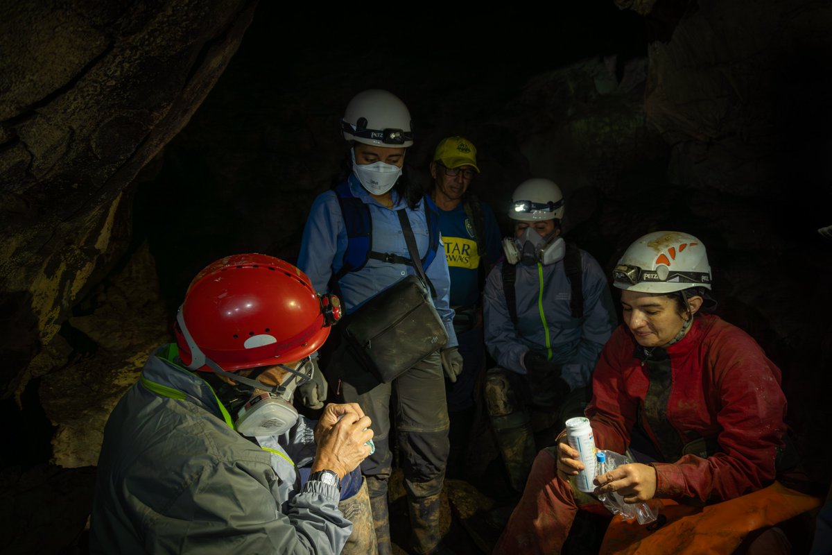 sgcol's tweet photo. Así lo explican expertos del Grupo de Investigación en Paleoclima y Cambio Climático del SGC, quienes recientemente exploraron las cavernas de esta área protegida para recolectar muestras de espeleotemas que, durante los próximos meses, analizarán con tecnologías de laboratorio 🤓.
