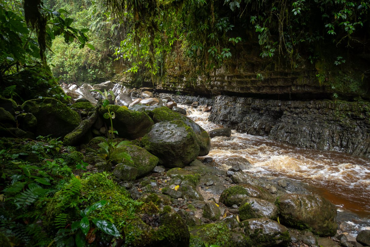 sgcol's tweet photo. Además de cavernas, nuestros expertos analizarán formaciones propias de glaciares y sedimentos en lagos.

Todo esto con el fin de reconstruir el pasado climático del país y proyectar estrategias de adaptación a la crisis climática actual. https://t.co/fELDDLvJNo