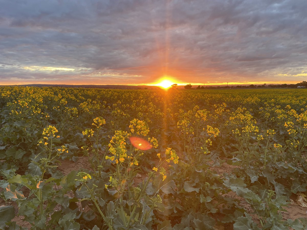 <a href="/mattrohde8/">Matt Rohde</a> <a href="/BenDooley8/">Ben Dooley 🧢</a>