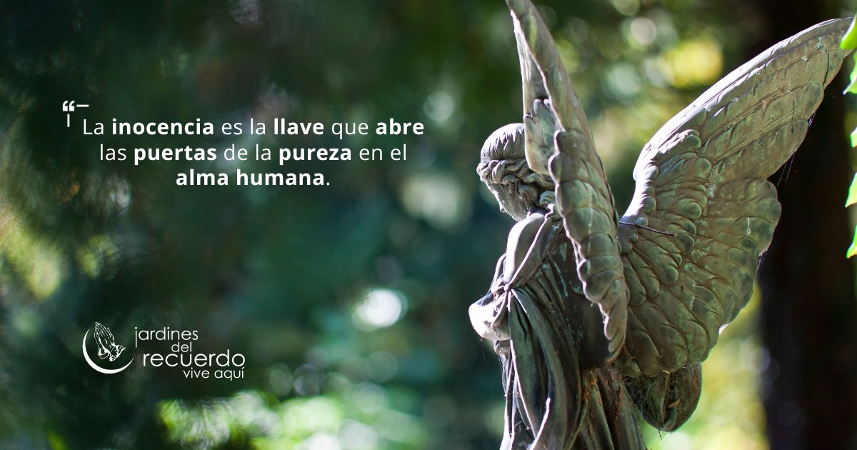 JardinesDelRecuerdo tweet media
