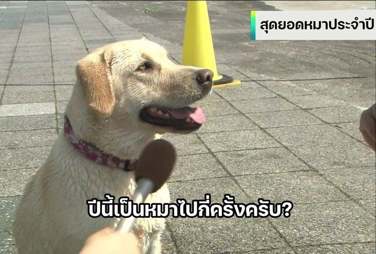 บ้บ tweet media
