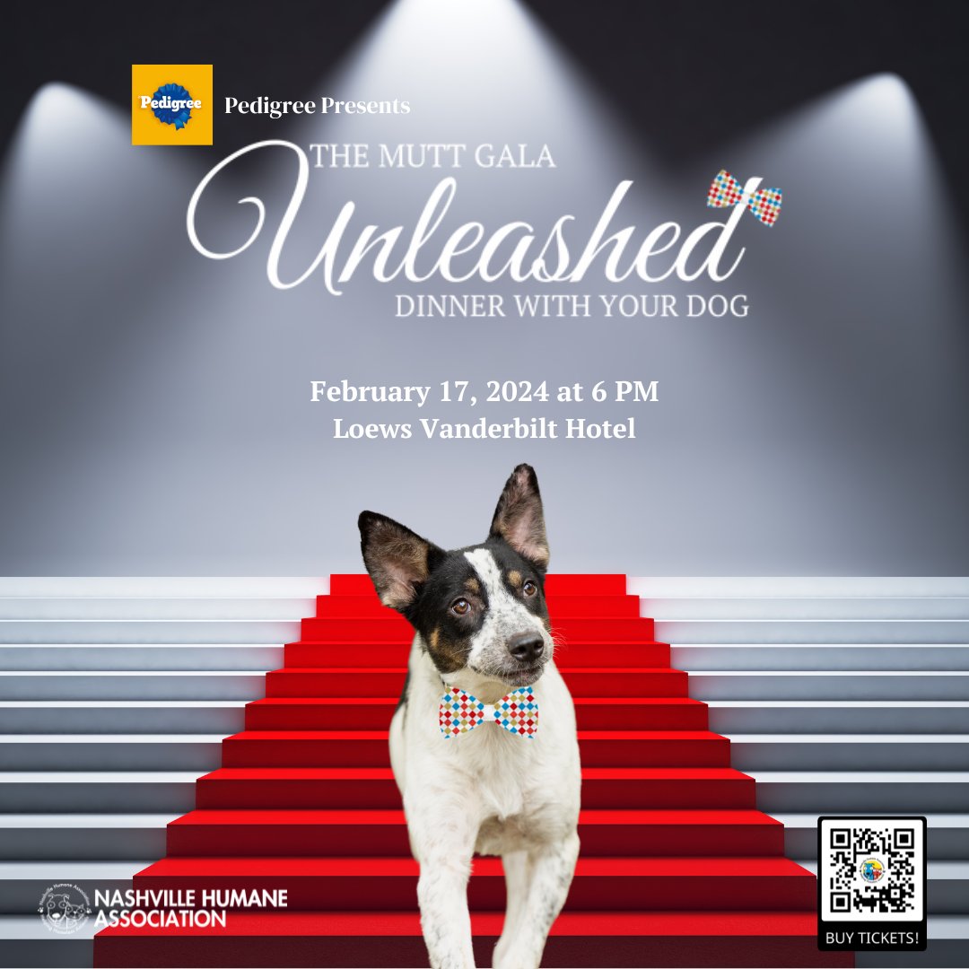 We are thrilled to announce that the highly anticipated Unleashed: Dinner with your Dog, presented by @PedigreeUS, has officially unleashed its tickets for sale!⁠ 🙌⁠ Grab your tickets now at the link below! 🎟️ loom.ly/eV7yDek