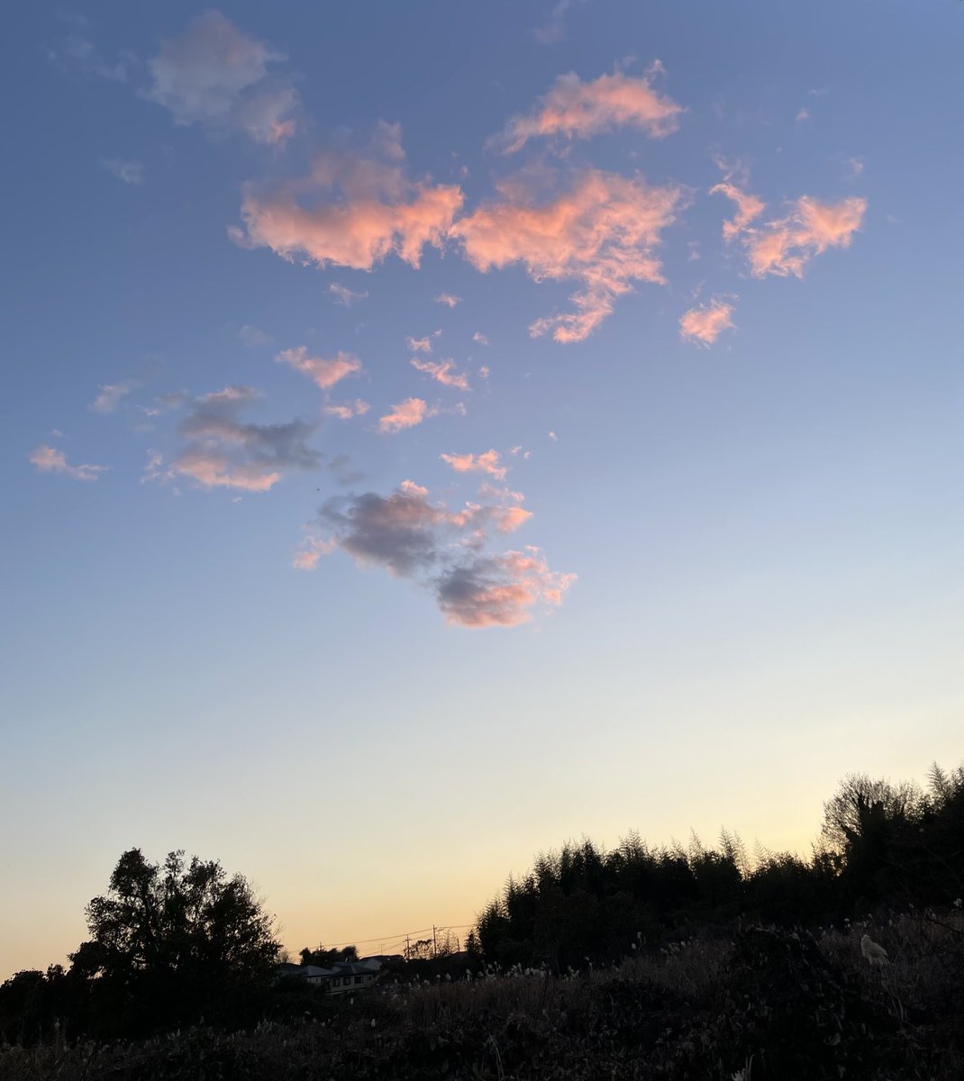 XML11ZfOdUcTwcv's tweet image. 今年も一年大変お世話になりました！今年の、特に後半は #夜きみ のおかげで空を見上げる楽しみがさらに増えました♪これから勝負の時を迎えるので超低浮上になりますが、遊びに来た時にはまたかまってやってください。Happy holidays!! #Gradation #JO1 ⁦@official_jo1⁩