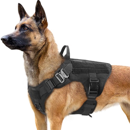 Lynxrite's tweet photo. I just received Doggo Harness from omuotus via Throne. Thank you! https://t.co/RETNS1StM4 #Wishlist #Throne https://t.co/xURIL7LXpm