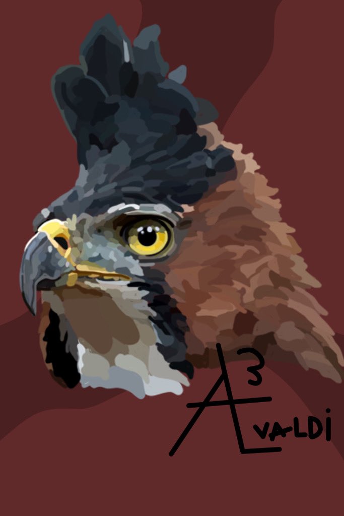 AlvaldiButArt's tweet photo. Hawk https://t.co/IK9GYdYXVH