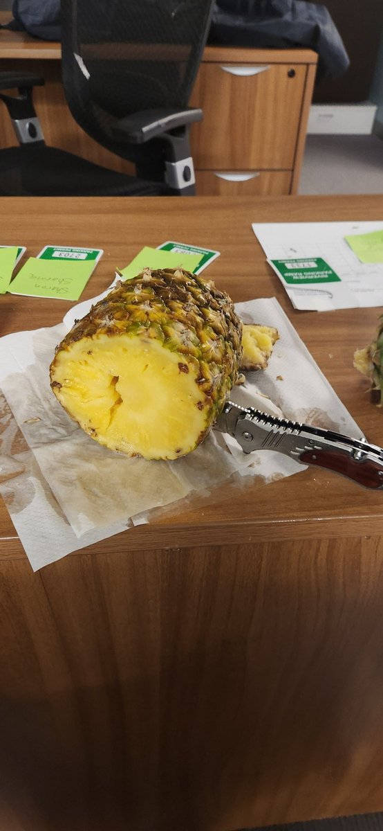 TheEllisName's tweet photo. all I'm saying is....don't believe tiktok #pineapple #theCHICKENteam https://t.co/XDGQrVScXf