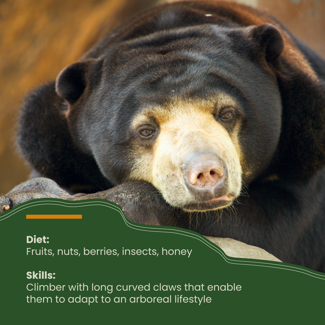 IC-CFS Malaysia tweet media