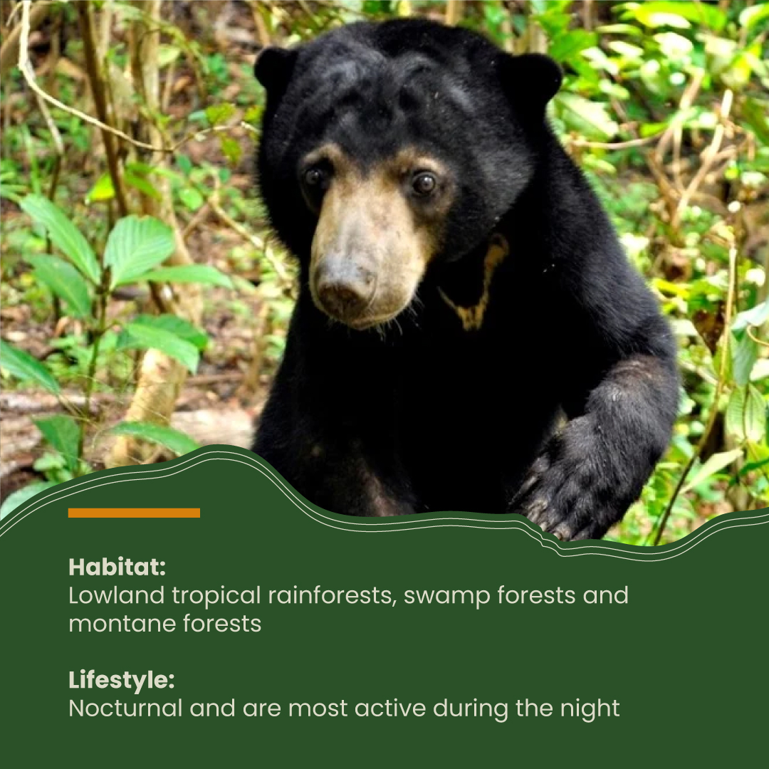 IC-CFS Malaysia tweet media