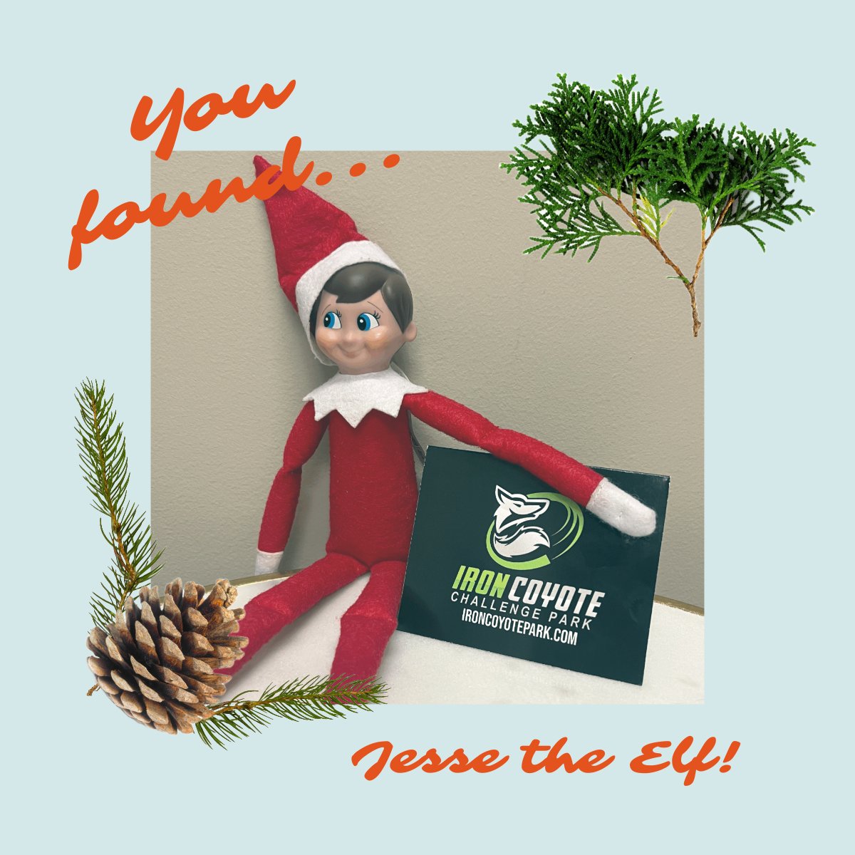 Jesse's landing spot didn't fool anyone! Of course she was found at Iron Coyote! Congratulations to our winner this week - Desi Lynn! Desi, stop by and grab your gift card at Suite 130 as soon as you can! Feel free to reach out to us  to make a pickup arrangement! #JesseTheElf