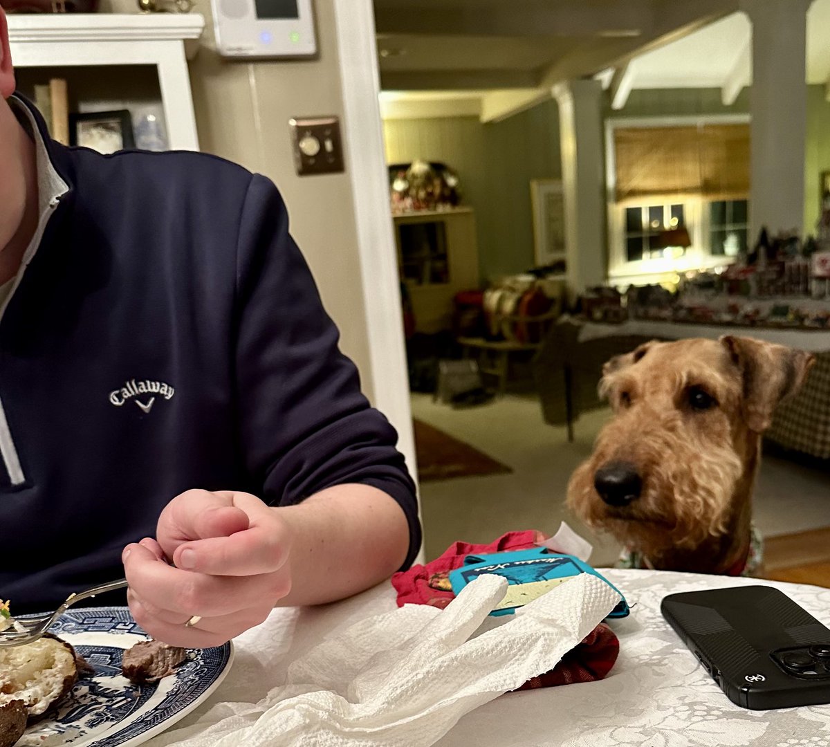 Well…another steak meal and I am left sitting aside…where is the justice for a hungry Airedale??