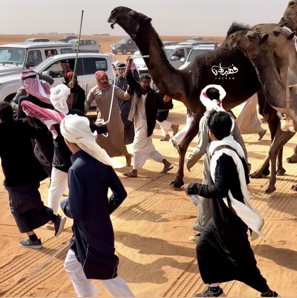 Theb5_'s tweet photo. معاك الدروب الموحشة ما عليها خوف 
ومعاك السنين المجدبة روضةٍ خضرا https://t.co/mxs8HFcTL3