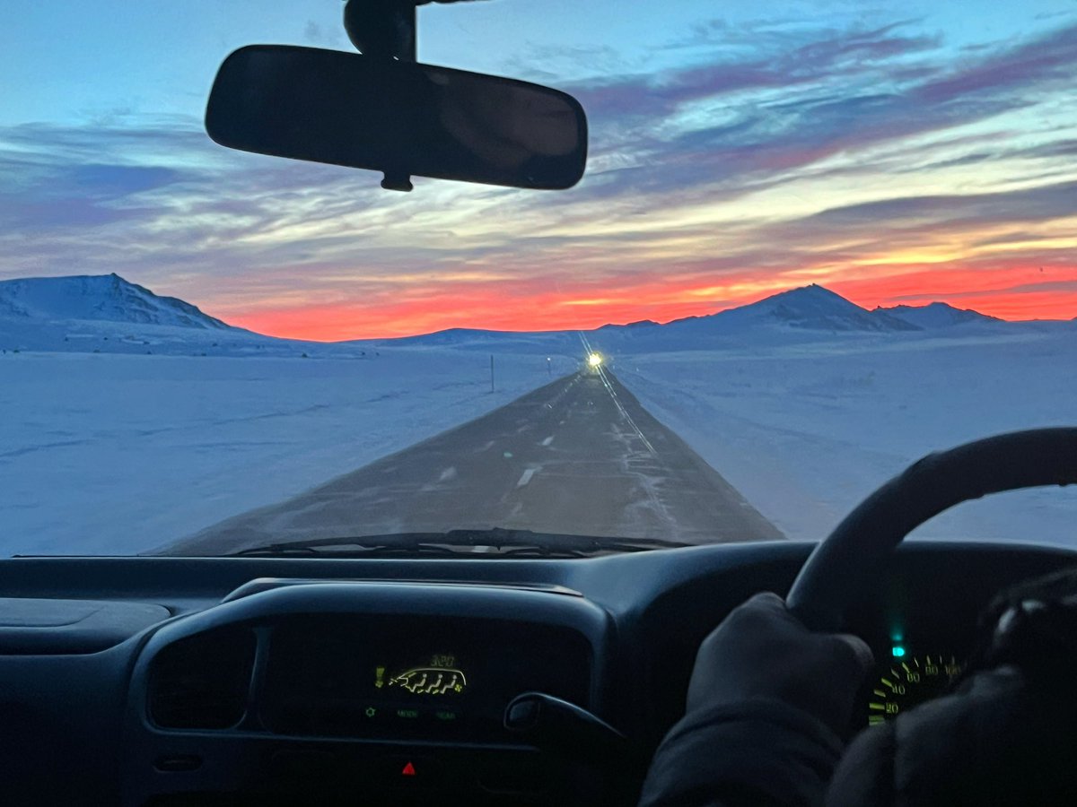 Lisa Forte tweet media