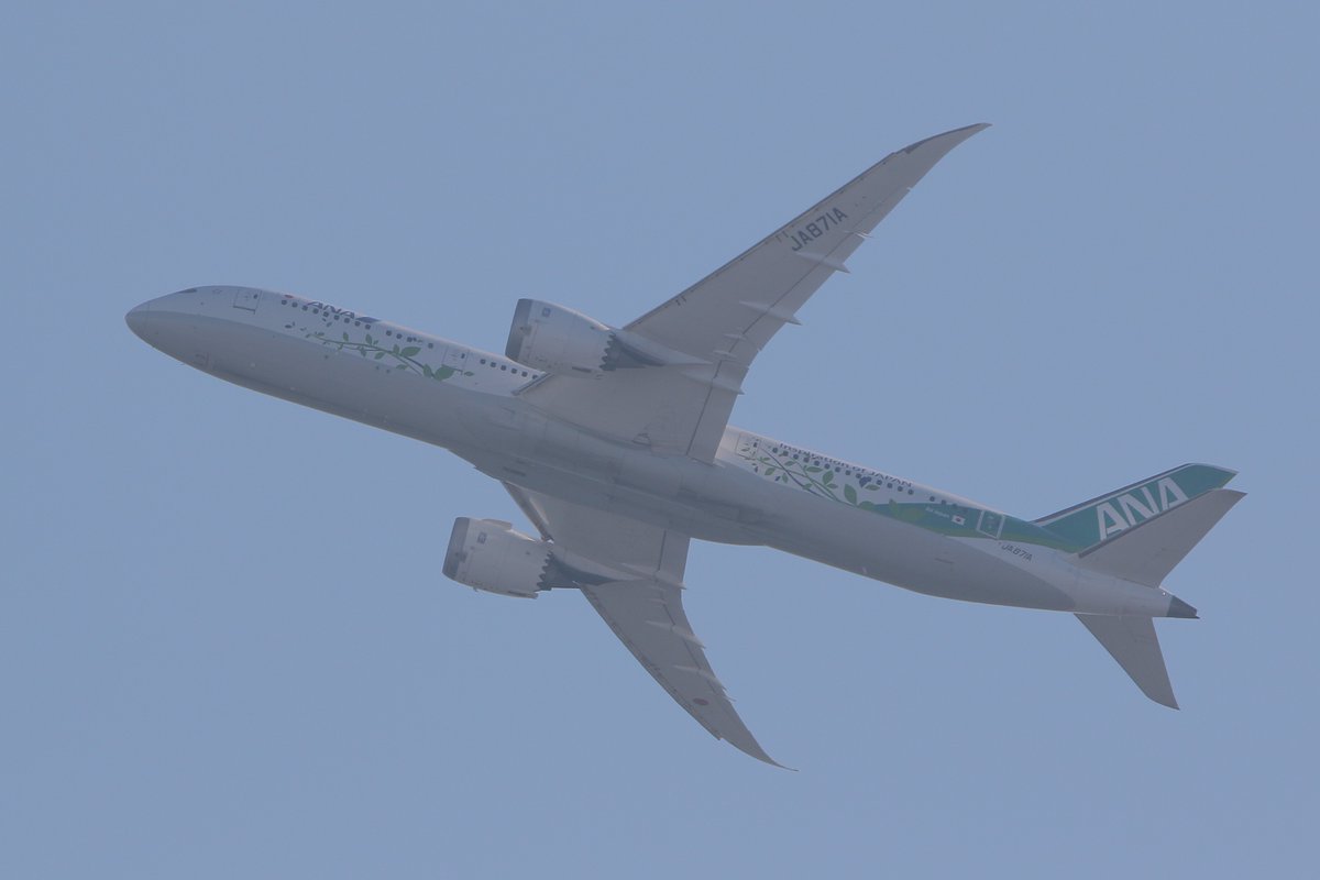 princessarete's tweet photo. 今日も日差しが厳しい😂
白く霞んで見える。
#ANA
#JA871A
#NH203
#HND_FRA
#Boeing_787_9 https://t.co/rc6lM5fQjP