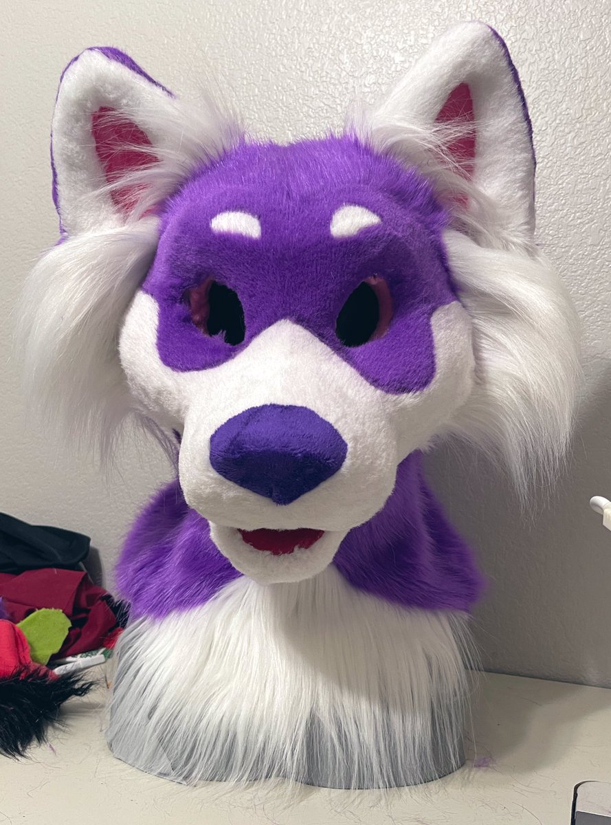 PinkFursuits's tweet photo. Soon ✨💜 https://t.co/PXFn7T9rCK