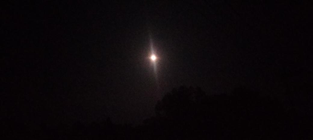 chakma khitan (@chakma_khitan) on Twitter photo 