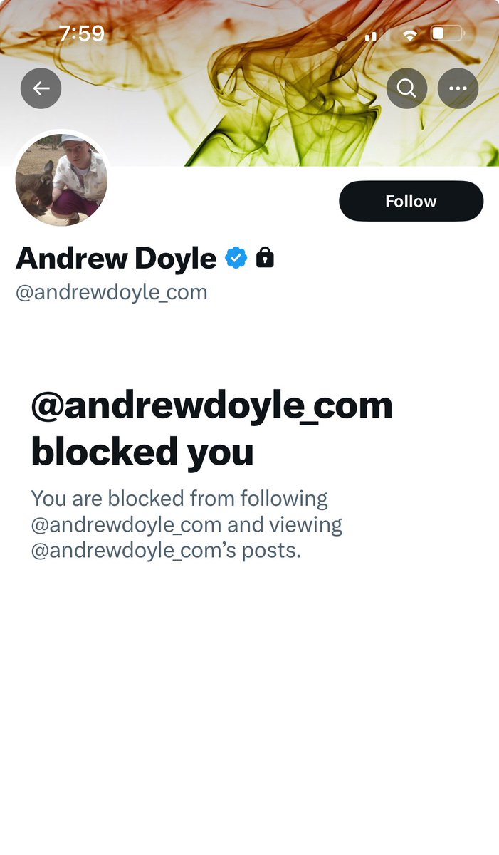 Tracey Vavrin tweet media