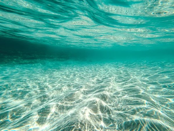 yokoichi777's tweet image. 本日、朝日新聞Google広告に写真掲載いただいてます。

今年 #GooglePixel7Pro で撮影したベストショット。小笠原諸島・南島の海です。

今年もPixelでスマホ写真がとても楽しく充実した1年でした📸️ #TeamPixel