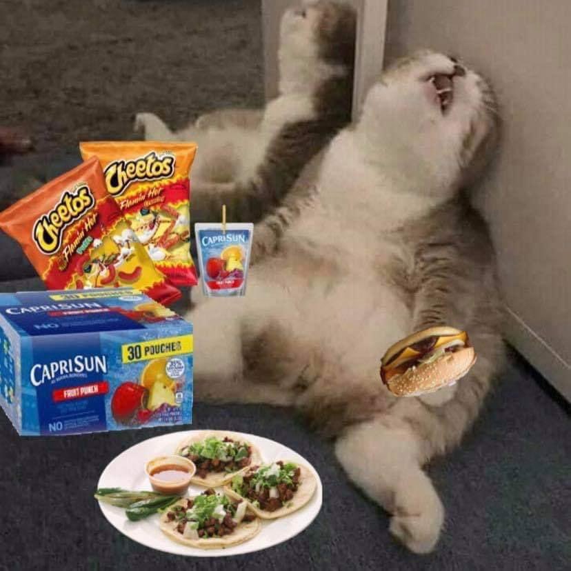 gio__palace's tweet photo. Me: I want to get in better shape.

Also me: https://t.co/F1gPcAIT4d