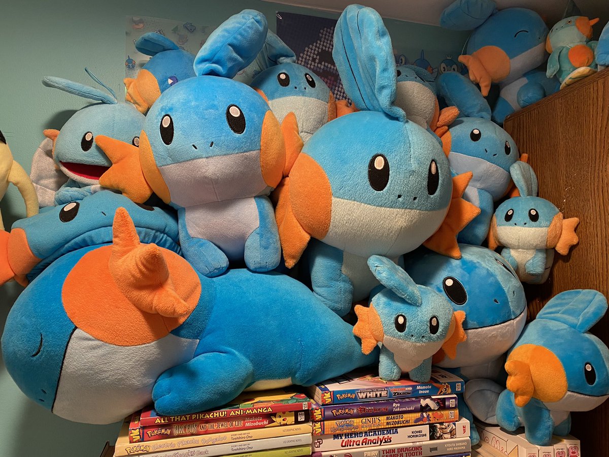 FinkipGirl's tweet image. New Mudkip arrived. Can you find him?
#Mudkip
#ミズゴロウ