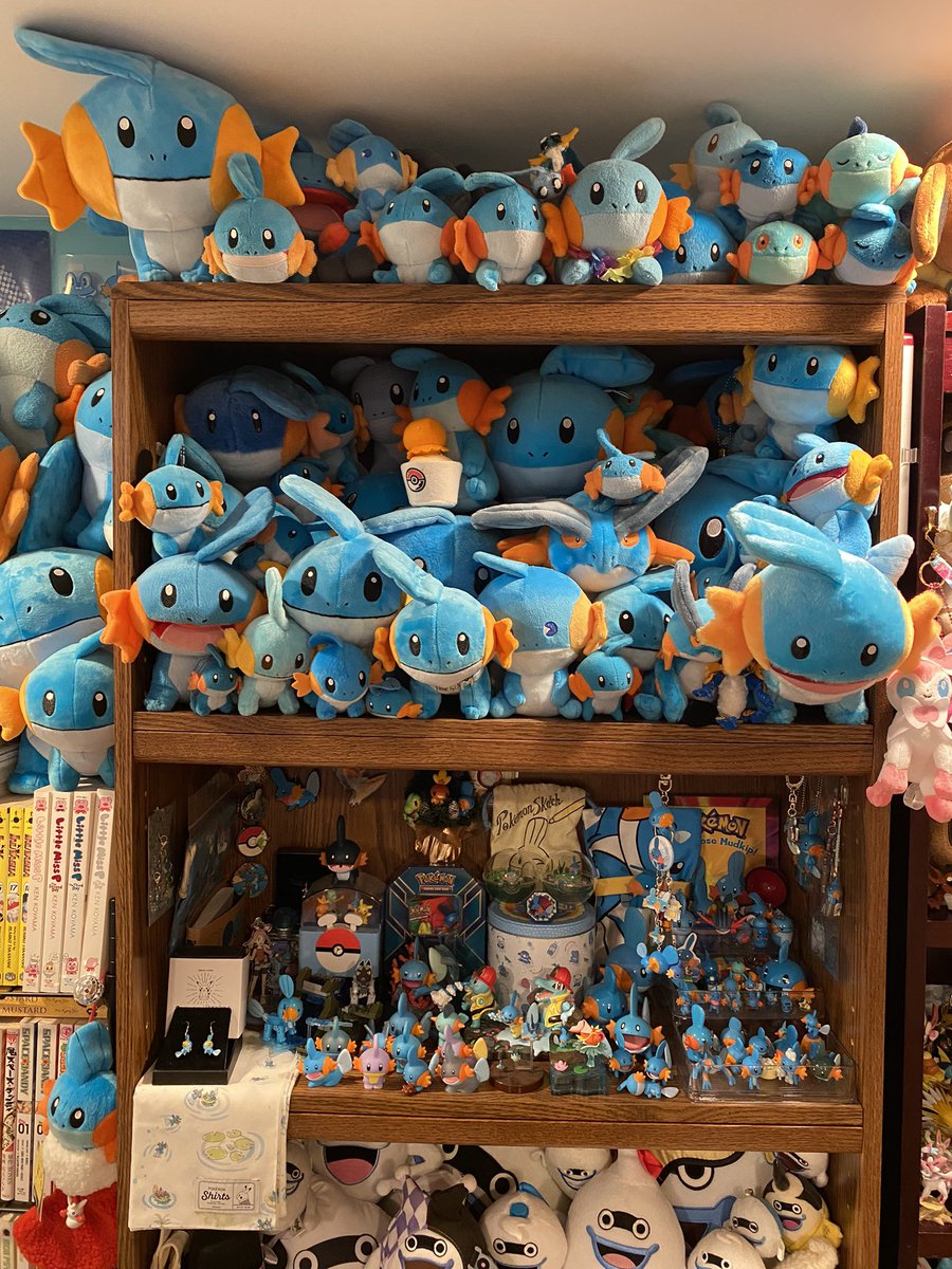 FinkipGirl's tweet image. New Mudkip arrived. Can you find him?
#Mudkip
#ミズゴロウ