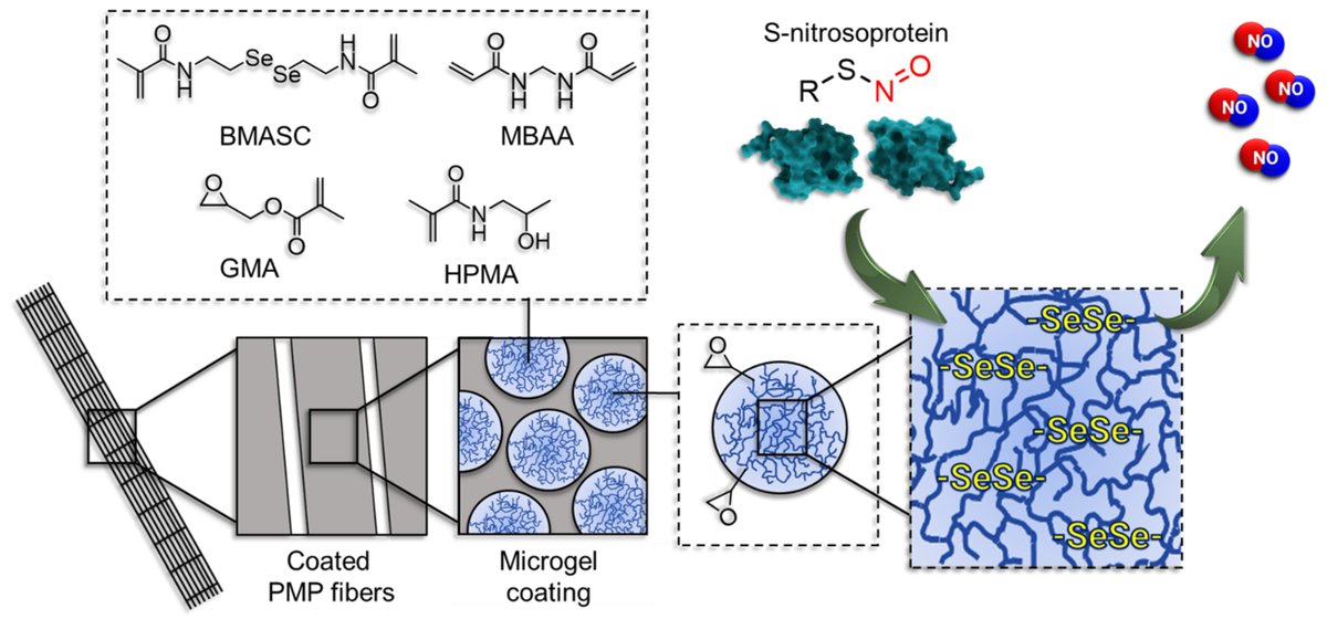 Membranes_MDPI's tweet image. 🍒2022 Notable Papers Related to #Gas_Processing
🍓Views 2160 Citations 9 
🌻Endogenous Nitric Oxide-Releasing #Microgel_Coating Prevents Clot Formation on #Oxygenator_Fibers Exposed to In Vitro Blood Flow 
🌻mdpi.com/1437578 
by Christian Bleilevens et al.