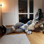 Photo by AmberDoggo (@AmberDoggo)