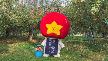 画像 / Picture