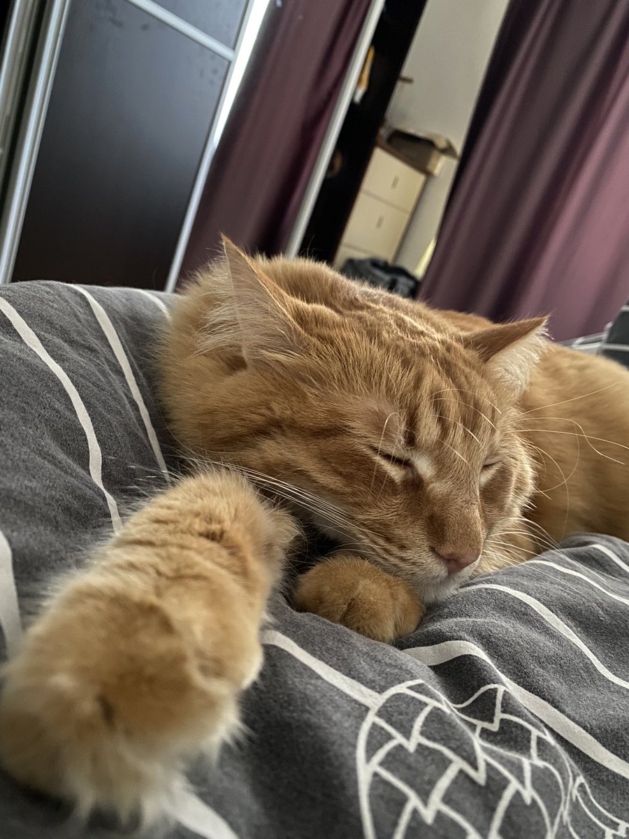 Bu risk alınmaz dostlar