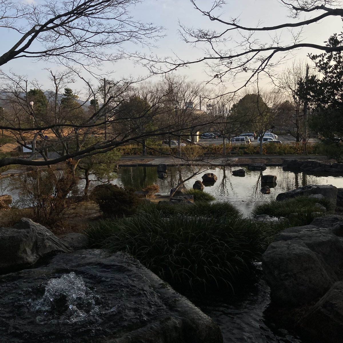 Doubleforce's tweet photo. 2023年最後の今日のお水(〇ё〇)

紅葉のタイミング狙ってたのにぜんぜん来れなくて1枚も残ってない〜。駐車場まるみえ〜

#のやさんぽ
#今日のお水 https://t.co/Z2NicbWBwN
