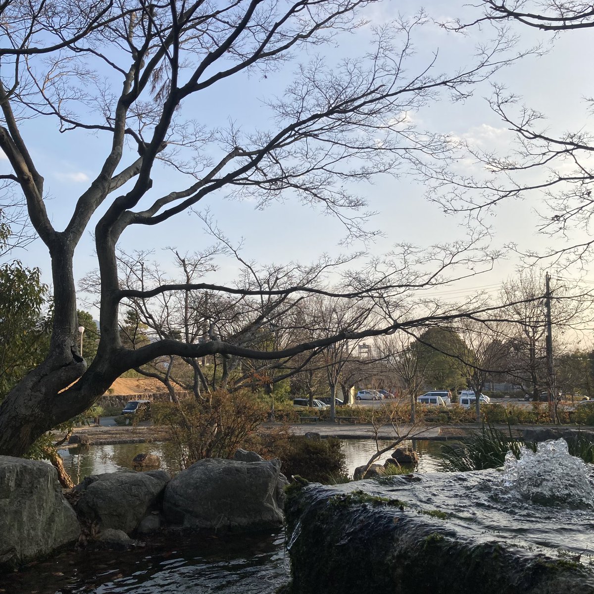 Doubleforce's tweet photo. 2023年最後の今日のお水(〇ё〇)

紅葉のタイミング狙ってたのにぜんぜん来れなくて1枚も残ってない〜。駐車場まるみえ〜

#のやさんぽ
#今日のお水 https://t.co/Z2NicbWBwN