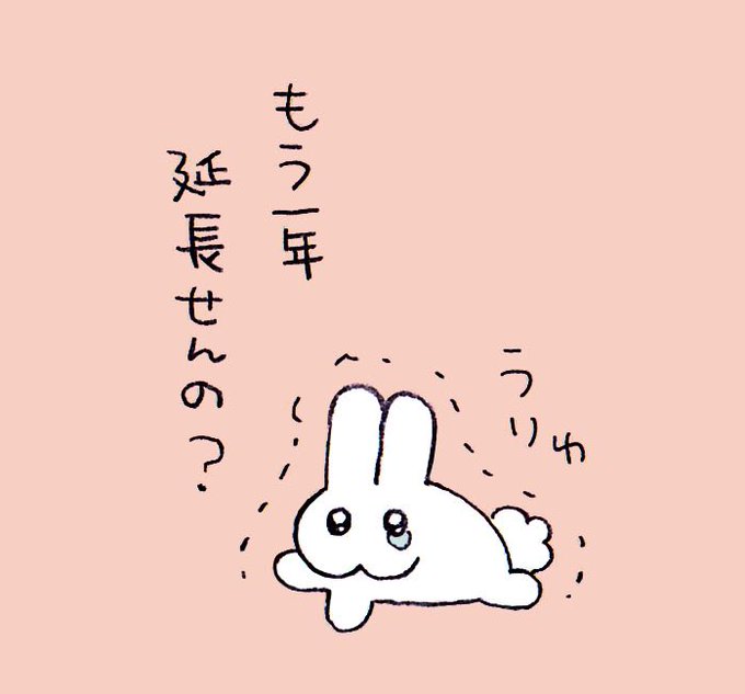 2023年・卯年がもう少しで終わってしまうことに絶望するうっさー🐇 