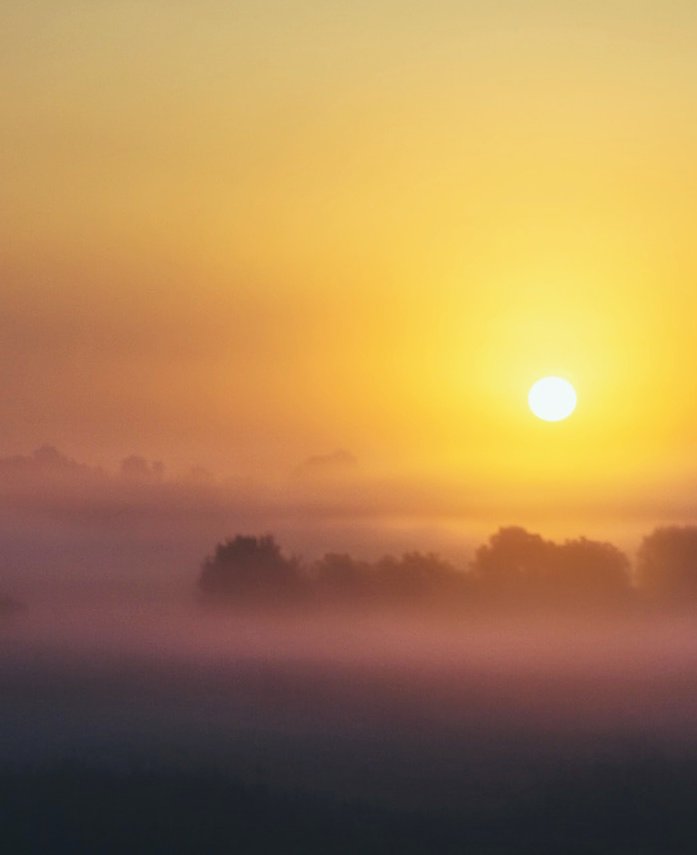 Good morning, friends ☀️🌳☕️🌹
🩷