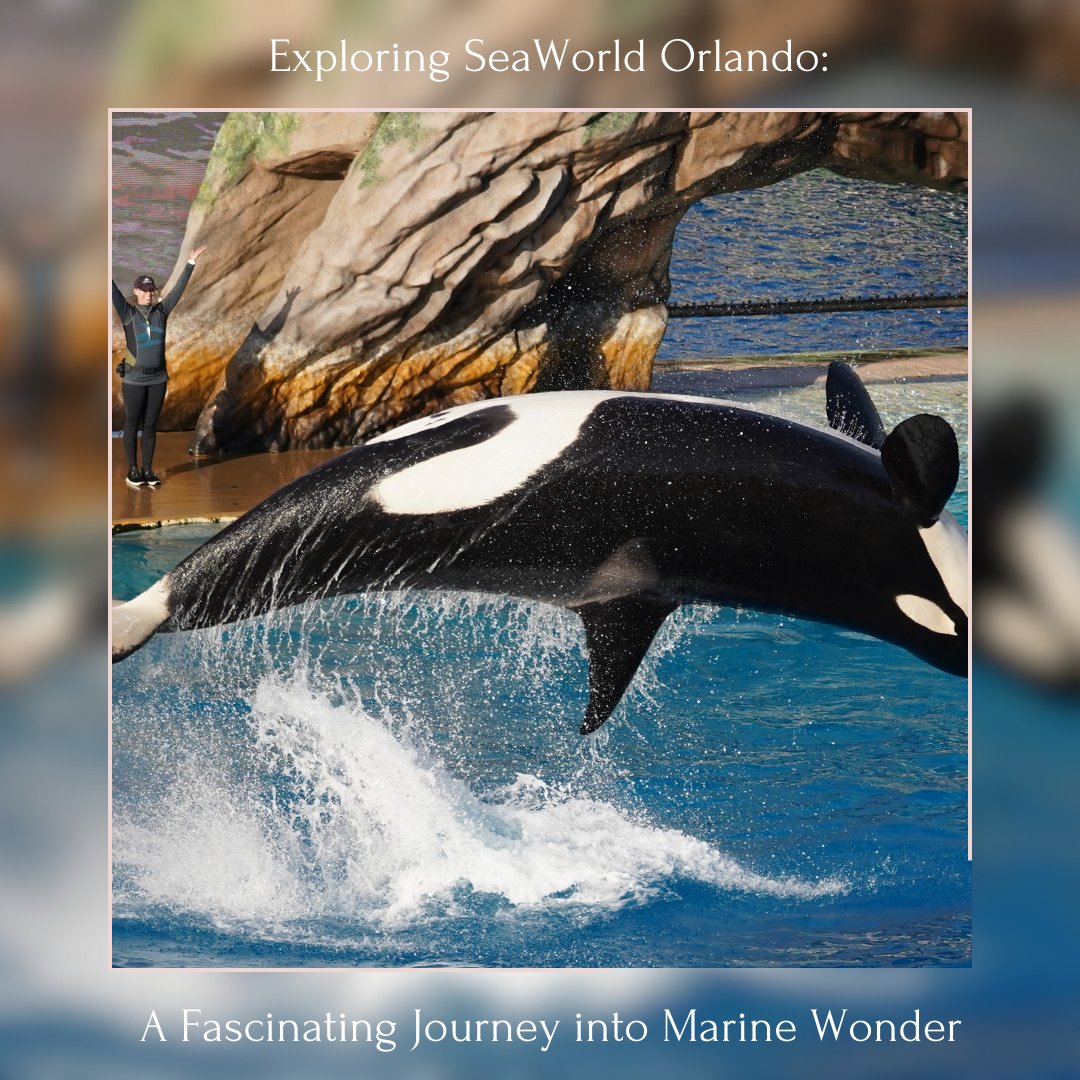 Dive into the depths of adventure! Join us as we explore #SeaWorld #Orlando, unveiling the wonders of marine life like never before. 🐠🐳 #ExploringSeaWorld #MarineWonder"

touristician.com/2023/12/29/exp…