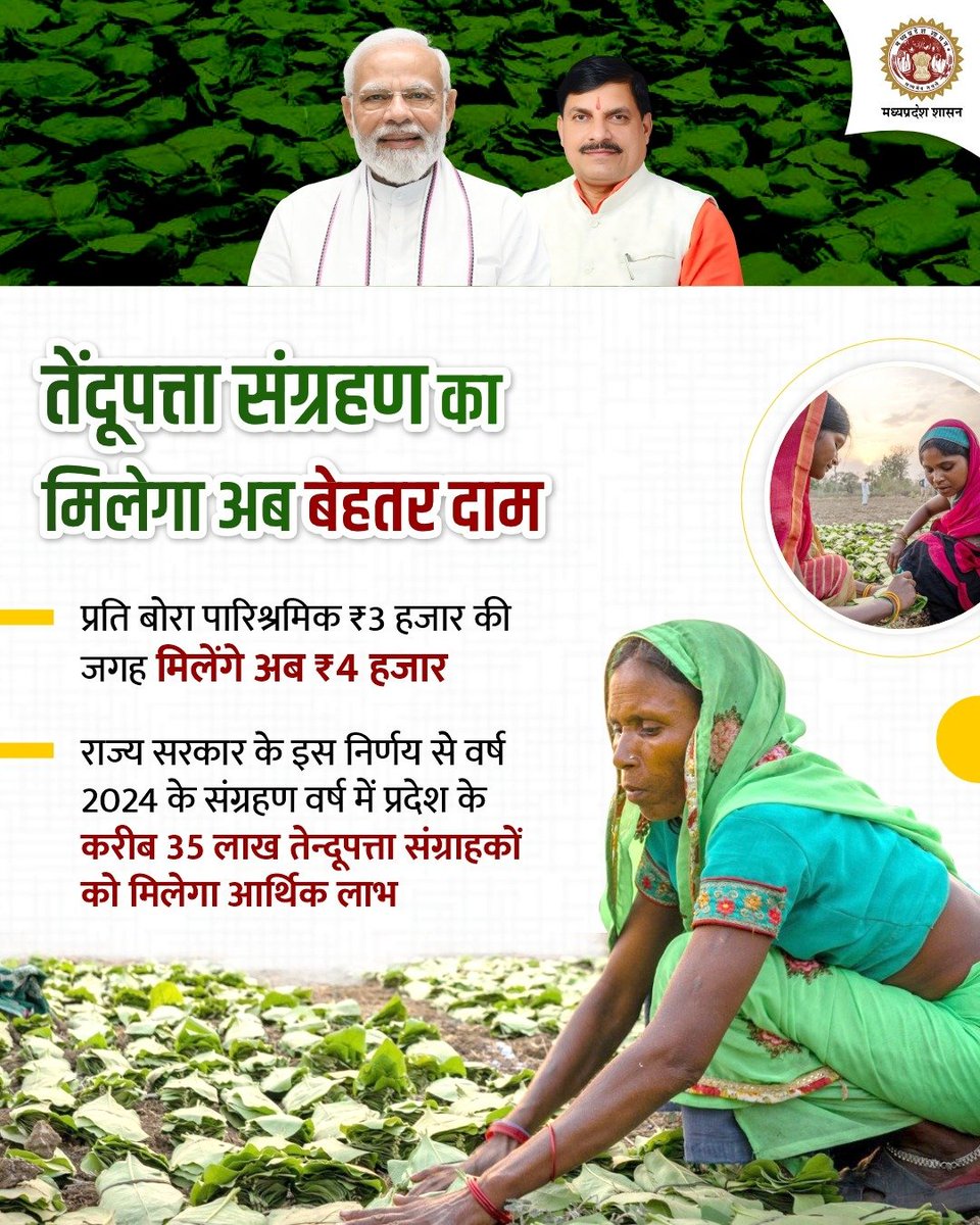 minforestmp's tweet photo. ➡️तेंदूपत्ता संग्रहण के लिए पहले से मिलेंगे अब अधिक दाम   

➡️प्रति बोरा पारिश्रमिक अब ₹4 हजार       

@CMMadhyaPradesh
@JansamparkMP https://t.co/SK6GGzias0
